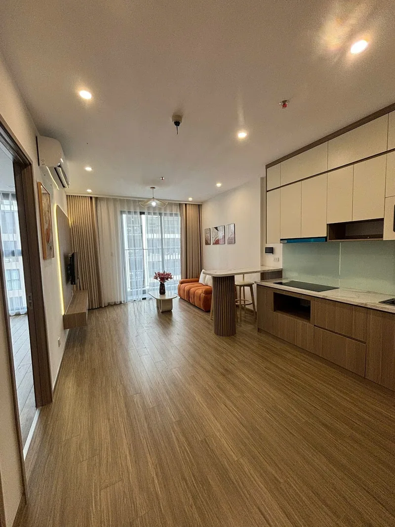 Ảnh 1 căn hộ 1 Ngủ TC1 Vinhomes Smart City 45m²