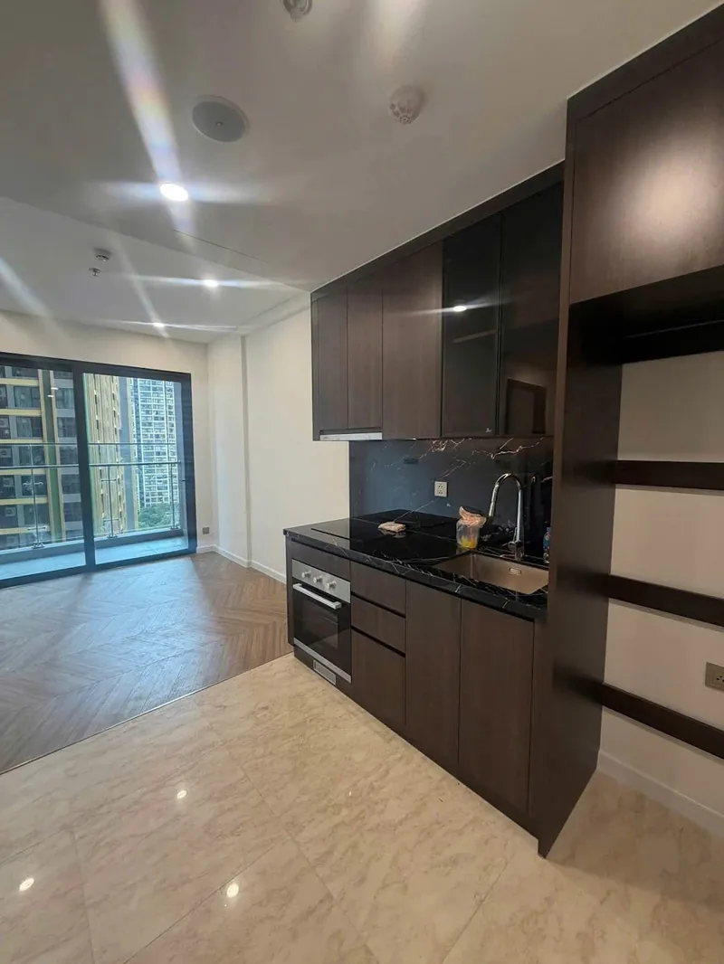 Ảnh 4 căn hộ 1 Ngủ A2 Vinhomes Smart City 43m²