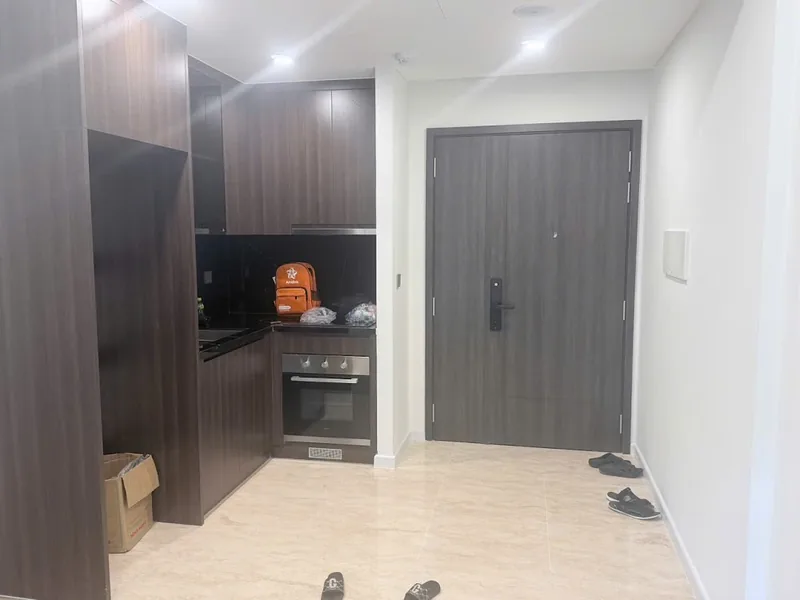Ảnh 1 căn hộ 2 Ngủ Lumiere Vinhomes Smart City 54m²