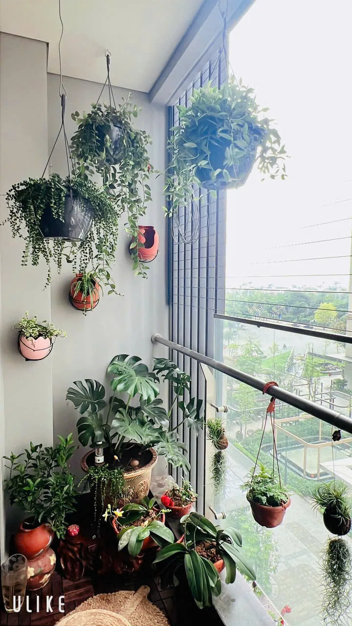 Ảnh 6 căn hộ 2 Ngủ + MasD Vinhomes Smart City 62m²