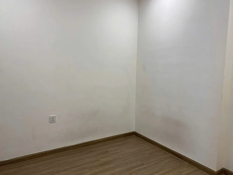 Ảnh 1 căn hộ 2 Ngủ GS1 Vinhomes Smart City 55m²