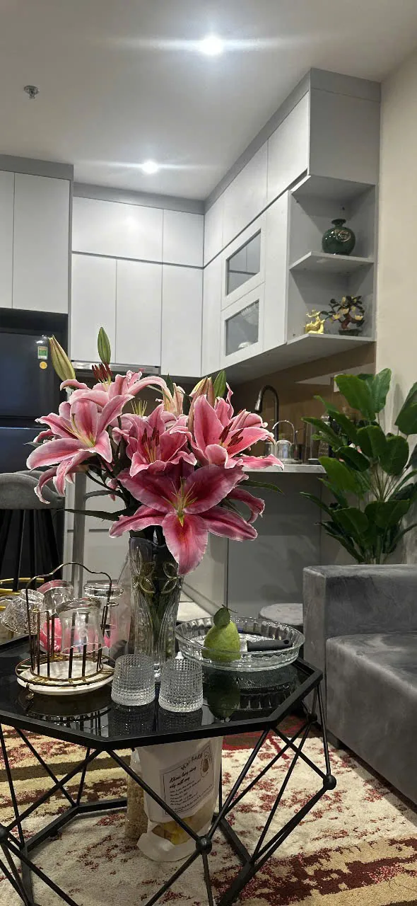 Ảnh 3 căn hộ Studio GS6 Vinhomes Smart City 27m²