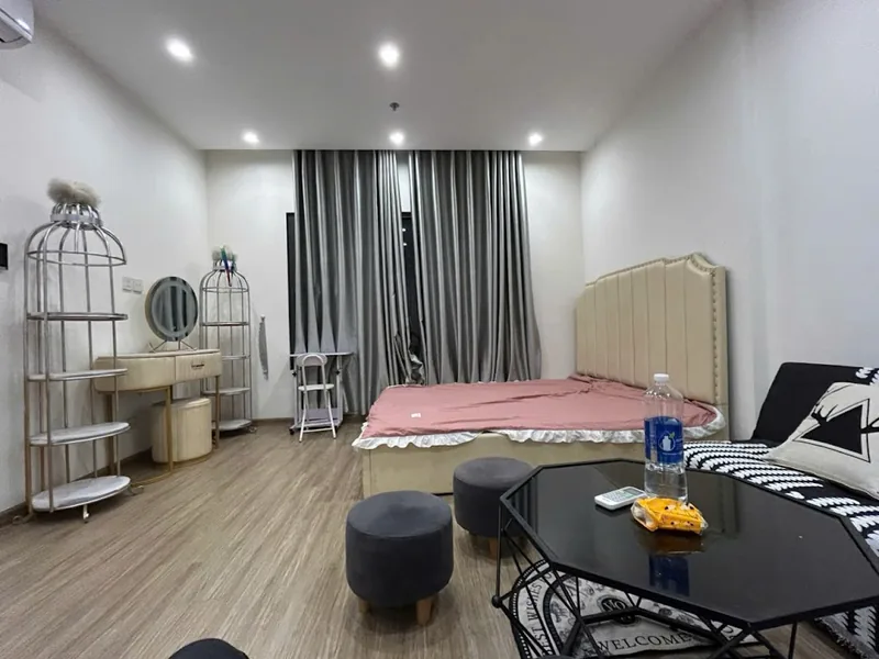 Ảnh 1 căn hộ Studio GS1 Vinhomes Smart City 32m²