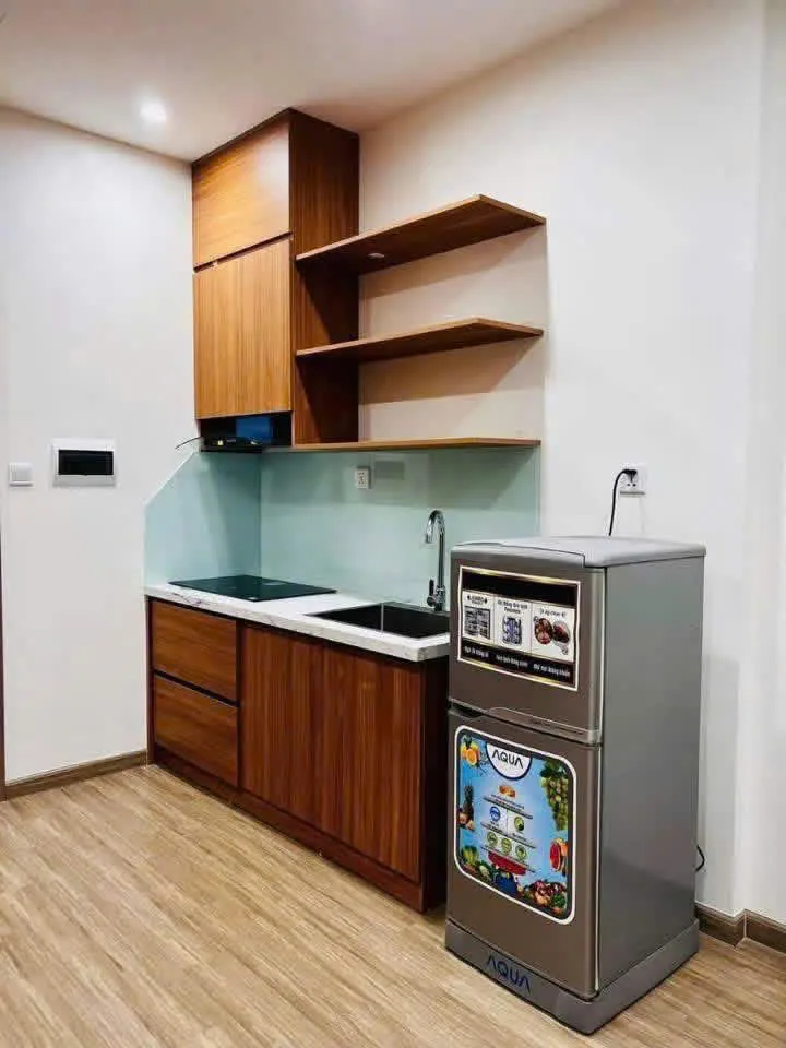 Ảnh 2 căn hộ Studio SA2 Vinhomes Smart City 26m²