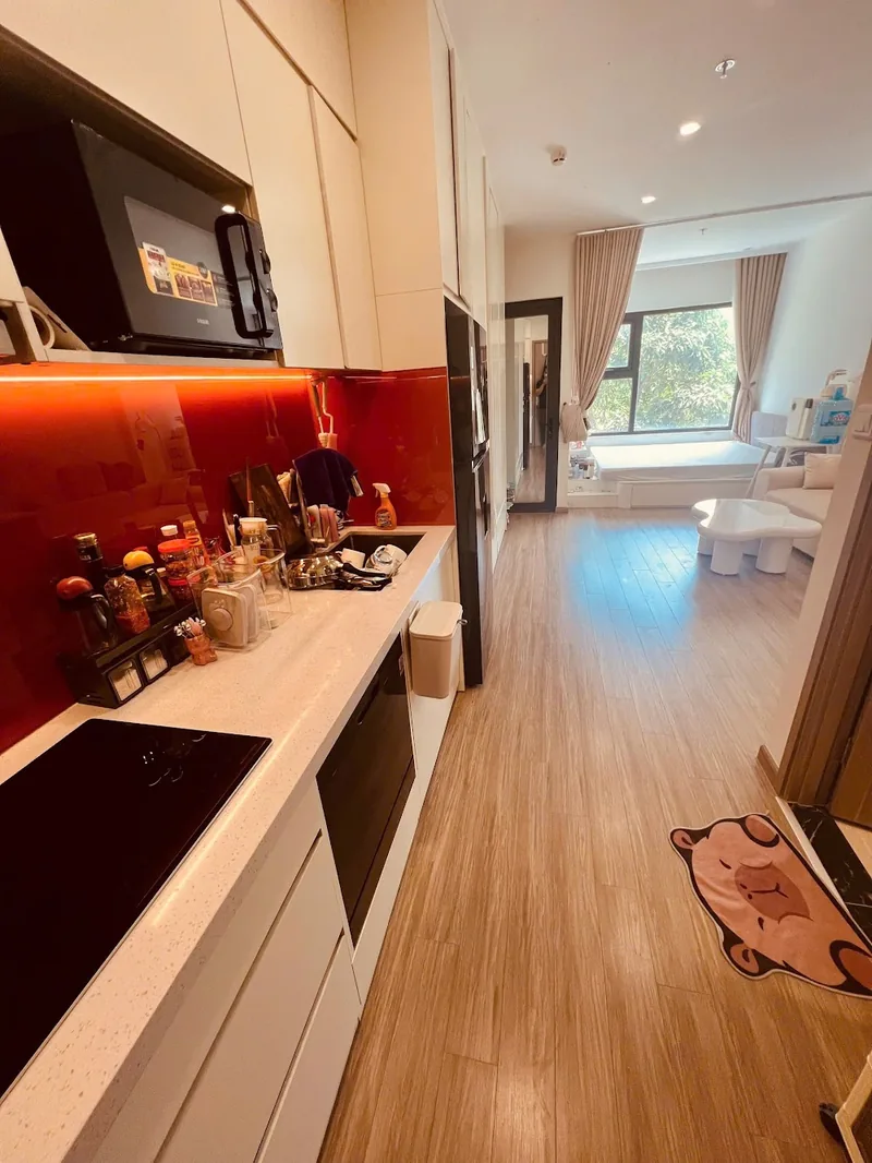 Ảnh 2 căn hộ Studio SA2 Vinhomes Smart City 30m²