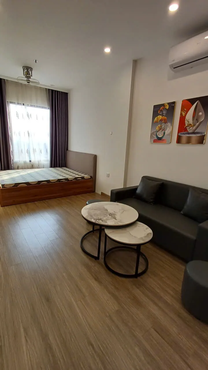 Ảnh 4 căn hộ Studio SA2 Vinhomes Smart City 30m²