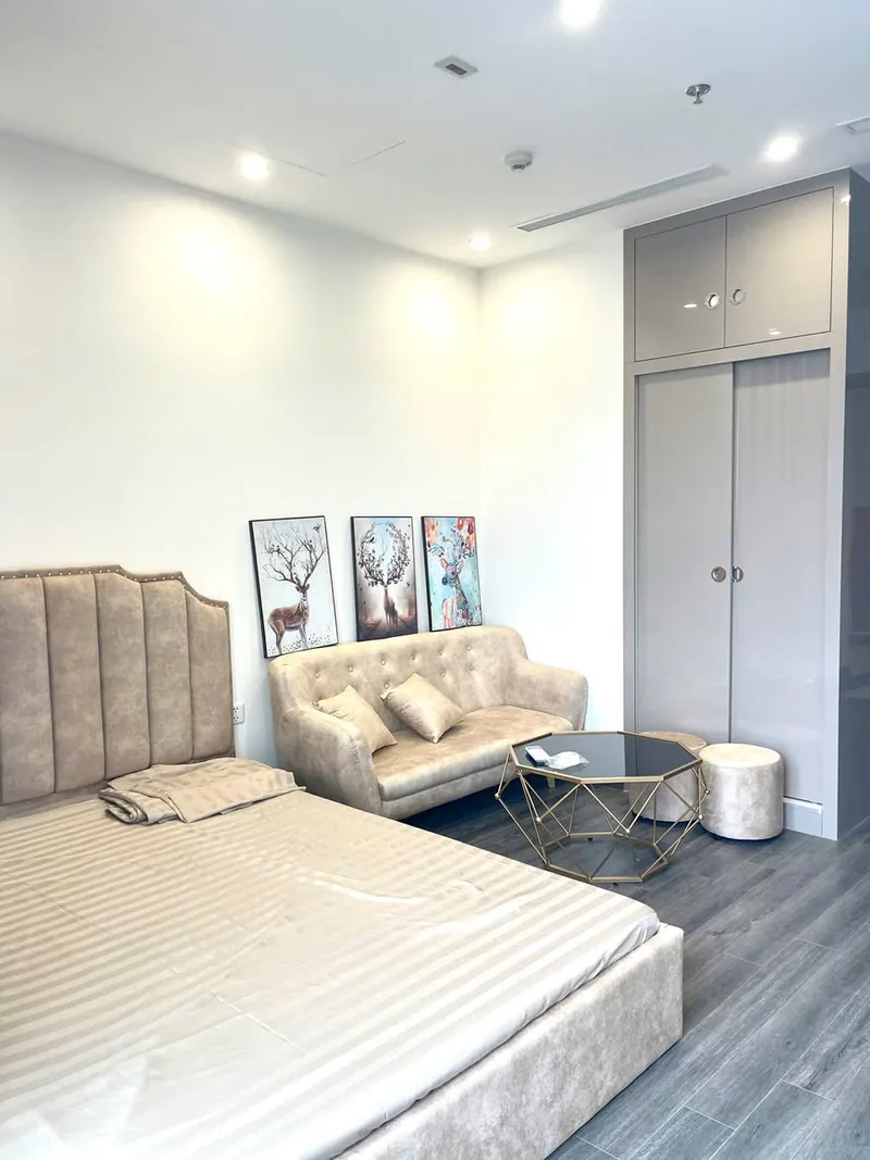 Ảnh 3 căn hộ Studio TK1 Vinhomes Smart City 25m²