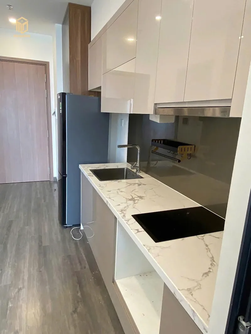 Ảnh 1 căn hộ Studio TK Vinhomes Smart City 25m²