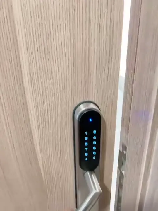 Khung hình từ video căn hộ